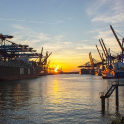 Website-thumbnail-3-768x768-1